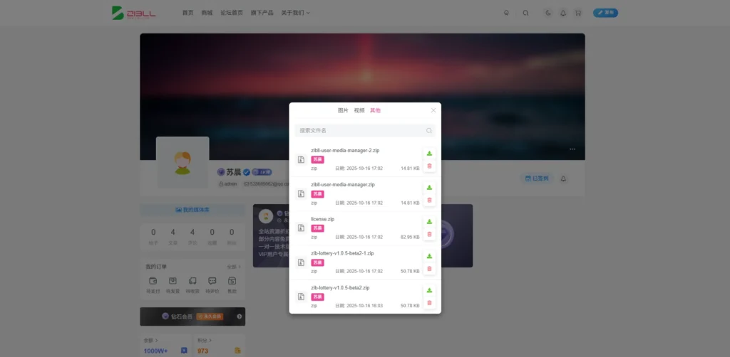 20251016190356239-20251016182619171-image-165