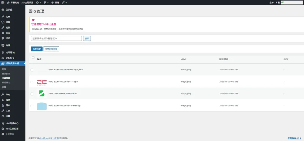 20260410023137914-20260409090309341-image-40