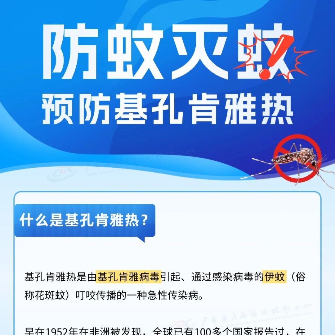家附近出现基孔肯雅热病例，怎么办？这3步，必须要知道→-四海便民