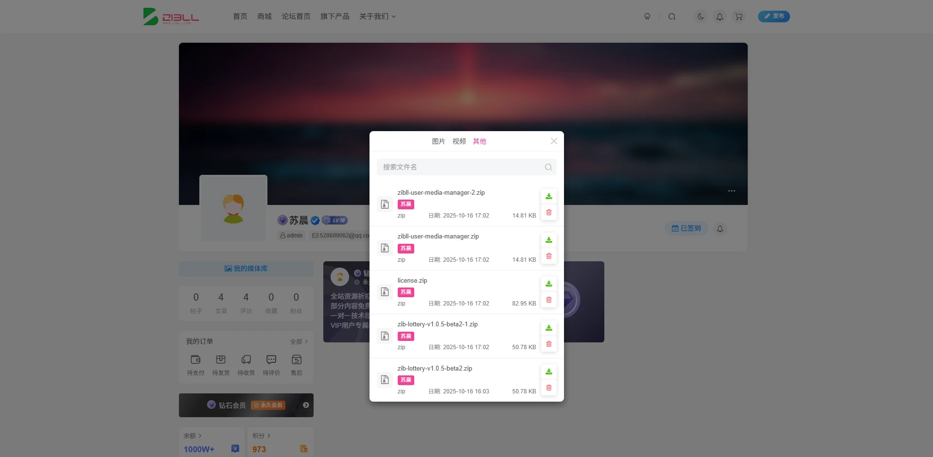 20251016190356239-20251016182619171-image-165